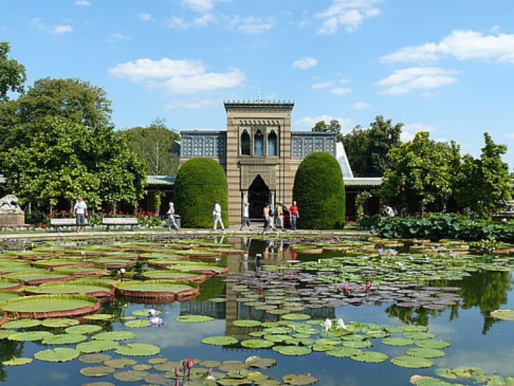 Ботанический сад Щтуттгарт