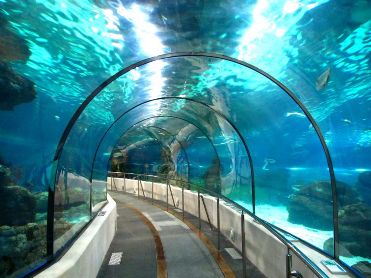 Городской аквариум