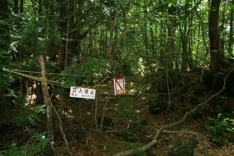 Лес самоубийц в Японии